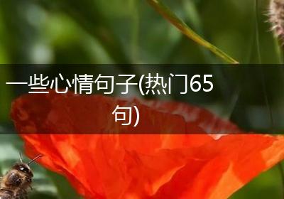 一些心情句子(热门65句)