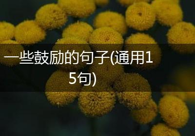 一些鼓励的句子(通用15句)