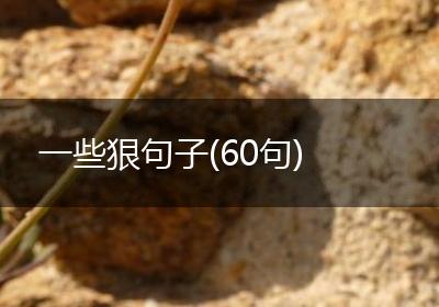 一些狠句子(60句)