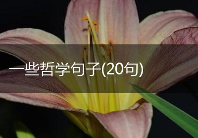 一些哲学句子(20句)