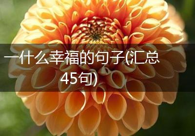 一什么幸福的句子(汇总45句)