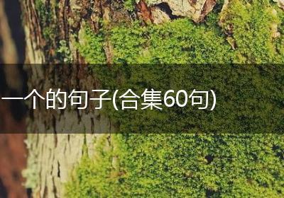 一个的句子(合集60句)