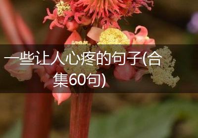 一些让人心疼的句子(合集60句)