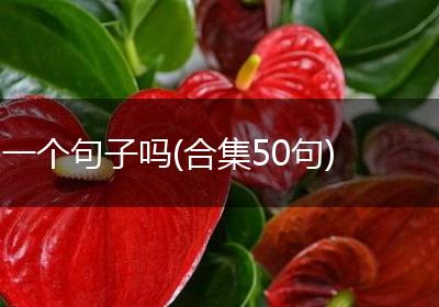 一个句子吗(合集50句)