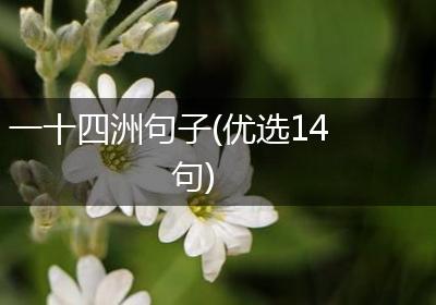 一十四洲句子(优选14句)