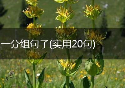 一分组句子(实用20句)