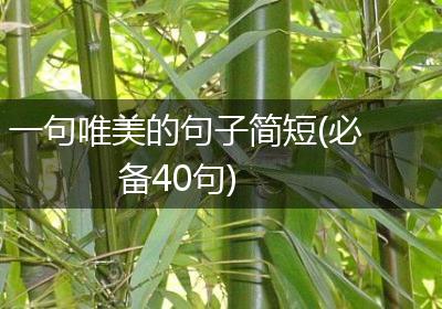一句唯美的句子简短(必备40句)