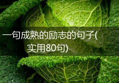 一句成熟的励志的句子(实用80句)