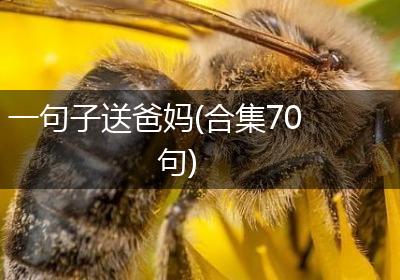 一句子送爸妈(合集70句)