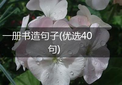 一册书造句子(优选40句)
