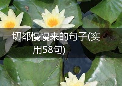 一切都慢慢来的句子(实用58句)