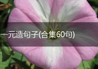 一元造句子(合集60句)