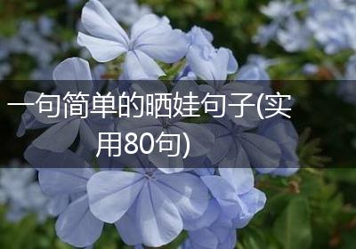 一句简单的晒娃句子(实用80句)