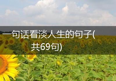 一句话看淡人生的句子(共69句)