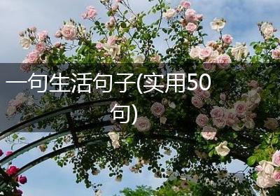 一句生活句子(实用50句)
