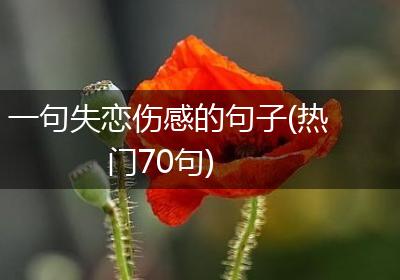 一句失恋伤感的句子(热门70句)