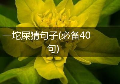一坨屎猜句子(必备40句)