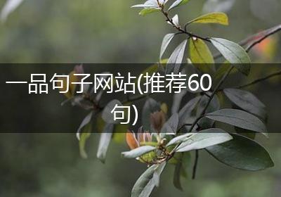 一品句子网站(推荐60句)