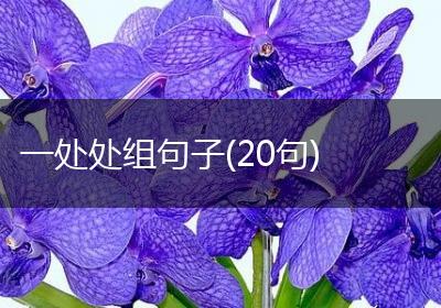 一处处组句子(20句)