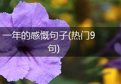 一年的感慨句子(热门9句)