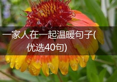 一家人在一起温暖句子(优选40句)