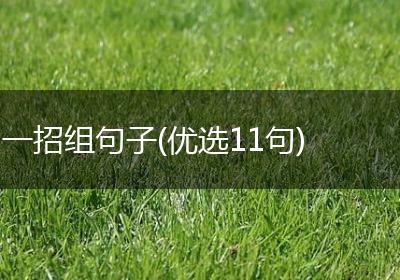 一招组句子(优选11句)