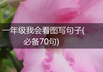 一年级我会看图写句子(必备70句)