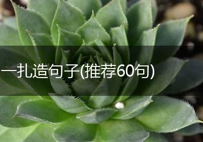 一扎造句子(推荐60句)