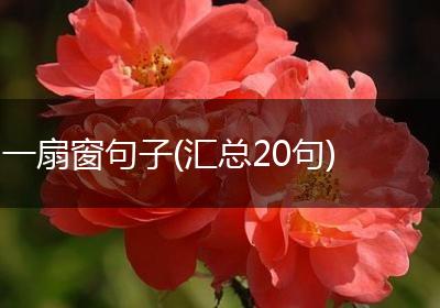 一扇窗句子(汇总20句)