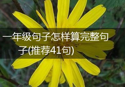 一年级句子怎样算完整句子(推荐41句)