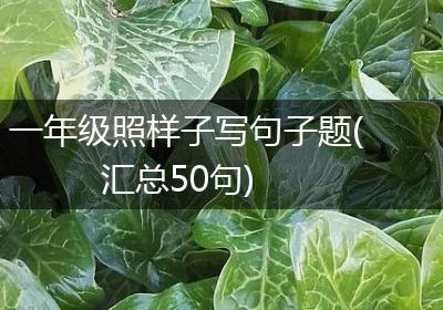 一年级照样子写句子题(汇总50句)