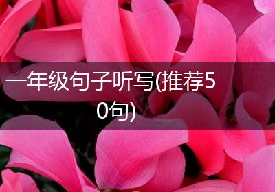 一年级句子听写(推荐50句)
