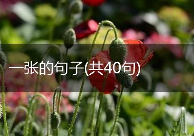 一张的句子(共40句)