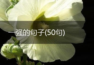 一强的句子(50句)