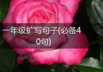 一年级扩写句子(必备40句)