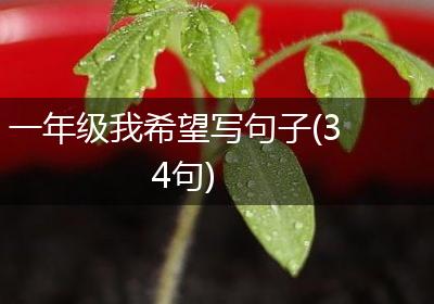 一年级我希望写句子(34句)