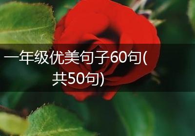 一年级优美句子60句(共50句)