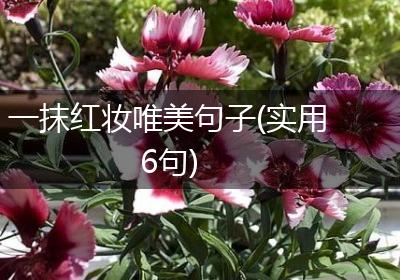 一抹红妆唯美句子(实用6句)