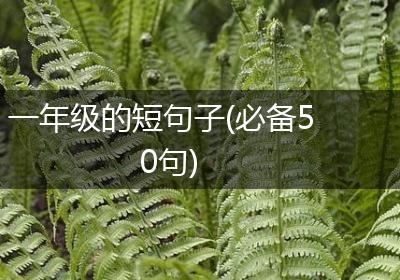 一年级的短句子(必备50句)