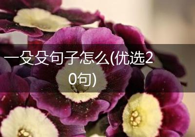 一殳殳句子怎么(优选20句)