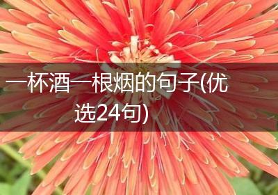 一杯酒一根烟的句子(优选24句)