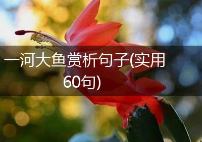 一河大鱼赏析句子(实用60句)
