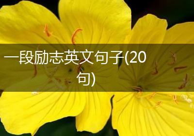 一段励志英文句子(20句)