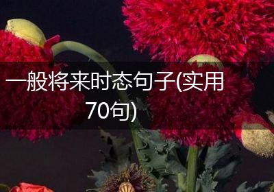 一般将来时态句子(实用70句)