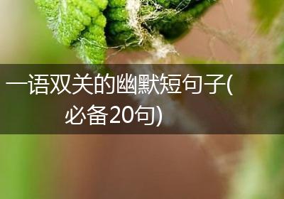 一语双关的幽默短句子(必备20句)