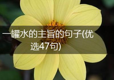 一罐水的主旨的句子(优选47句)