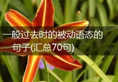 一般过去时的被动语态的句子(汇总70句)