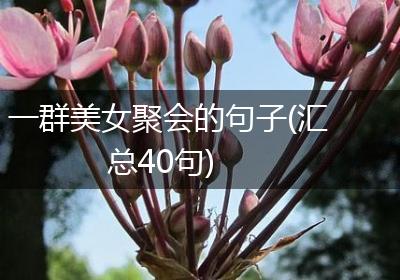 一群美女聚会的句子(汇总40句)