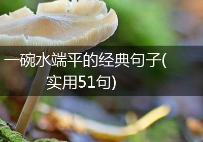 一碗水端平的经典句子(实用51句)
