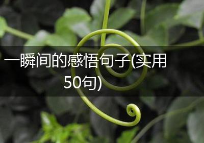 一瞬间的感悟句子(实用50句)